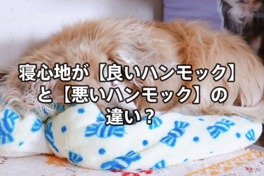 comfortable_movie